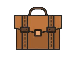 porfolio office bag